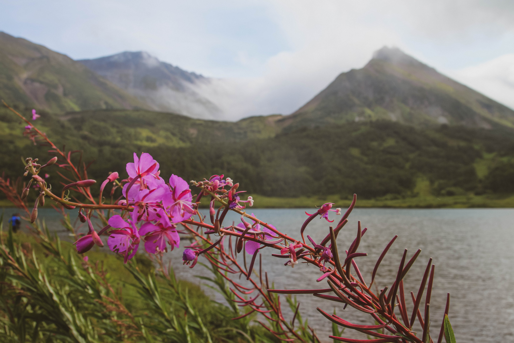 Камчатка: глэмпинг, вулканы и океан. Комфорт-тур (6/43)