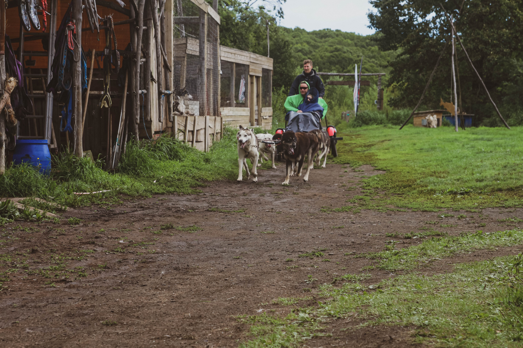 Камчатка: глэмпинг, вулканы и океан. Комфорт-тур (12/43)