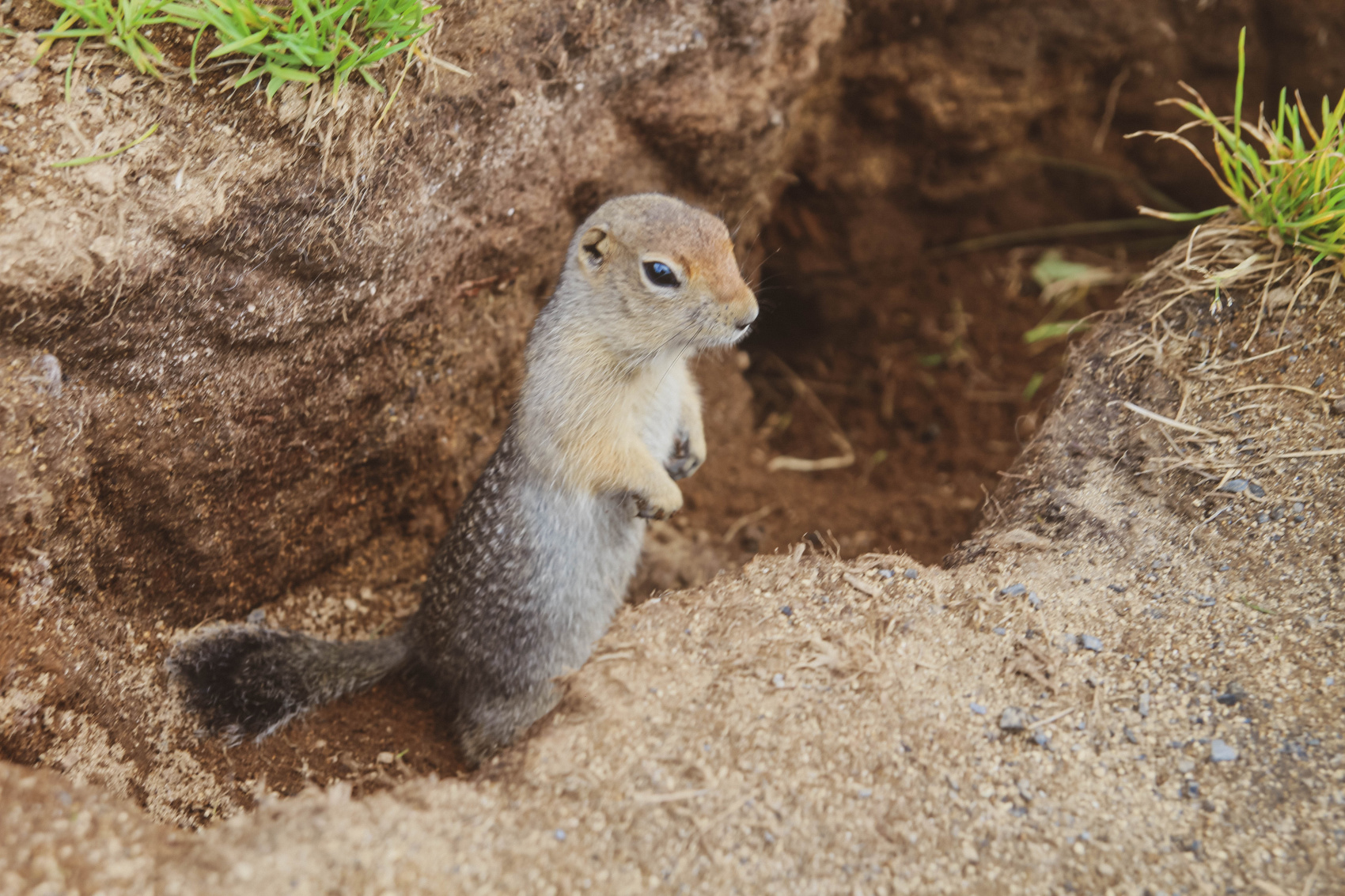 Камчатка: глэмпинг, вулканы и океан. Комфорт-тур (5/43)