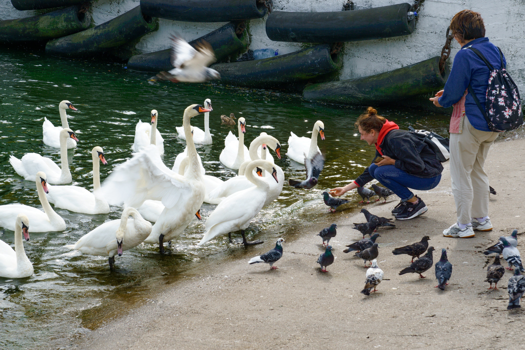 Необычный тур по Калининградской области (11/34)