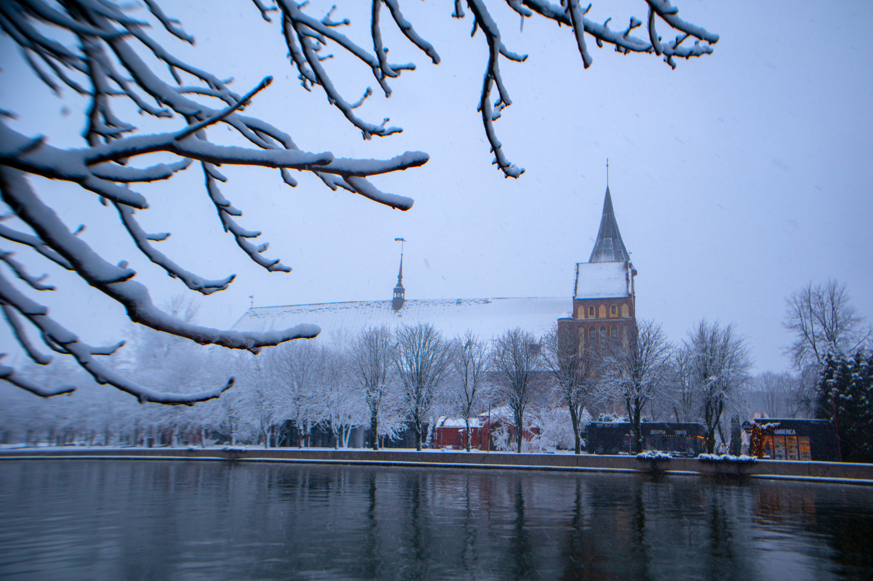 Необычный тур по Калининградской области (6/34)