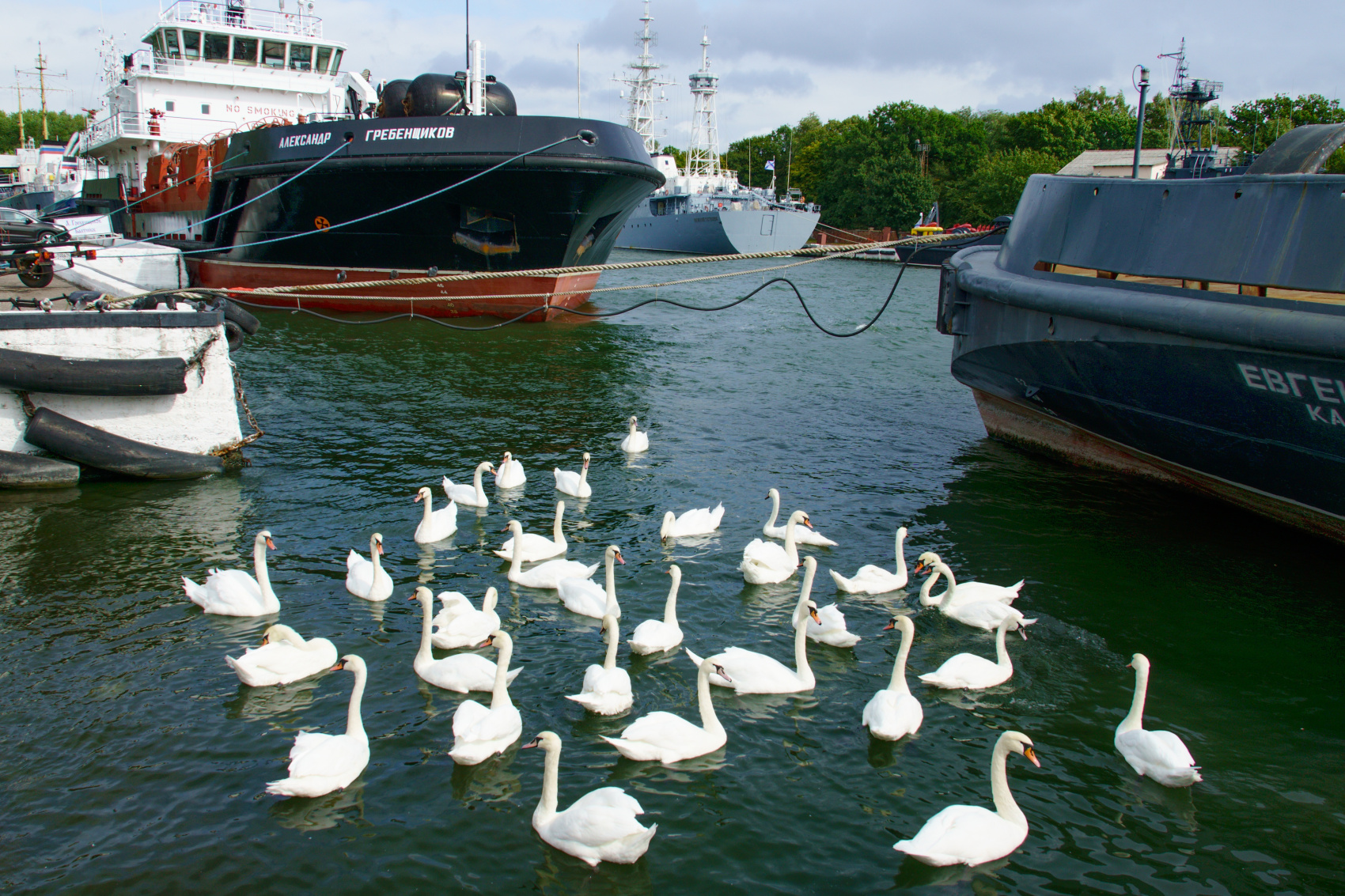 Исторический тур по Калининградской области (10/20)
