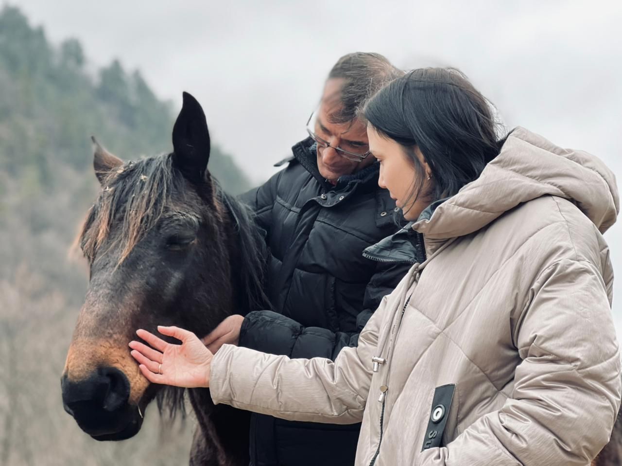 Архыз + Домбай - горнолыжный микс (20/53)