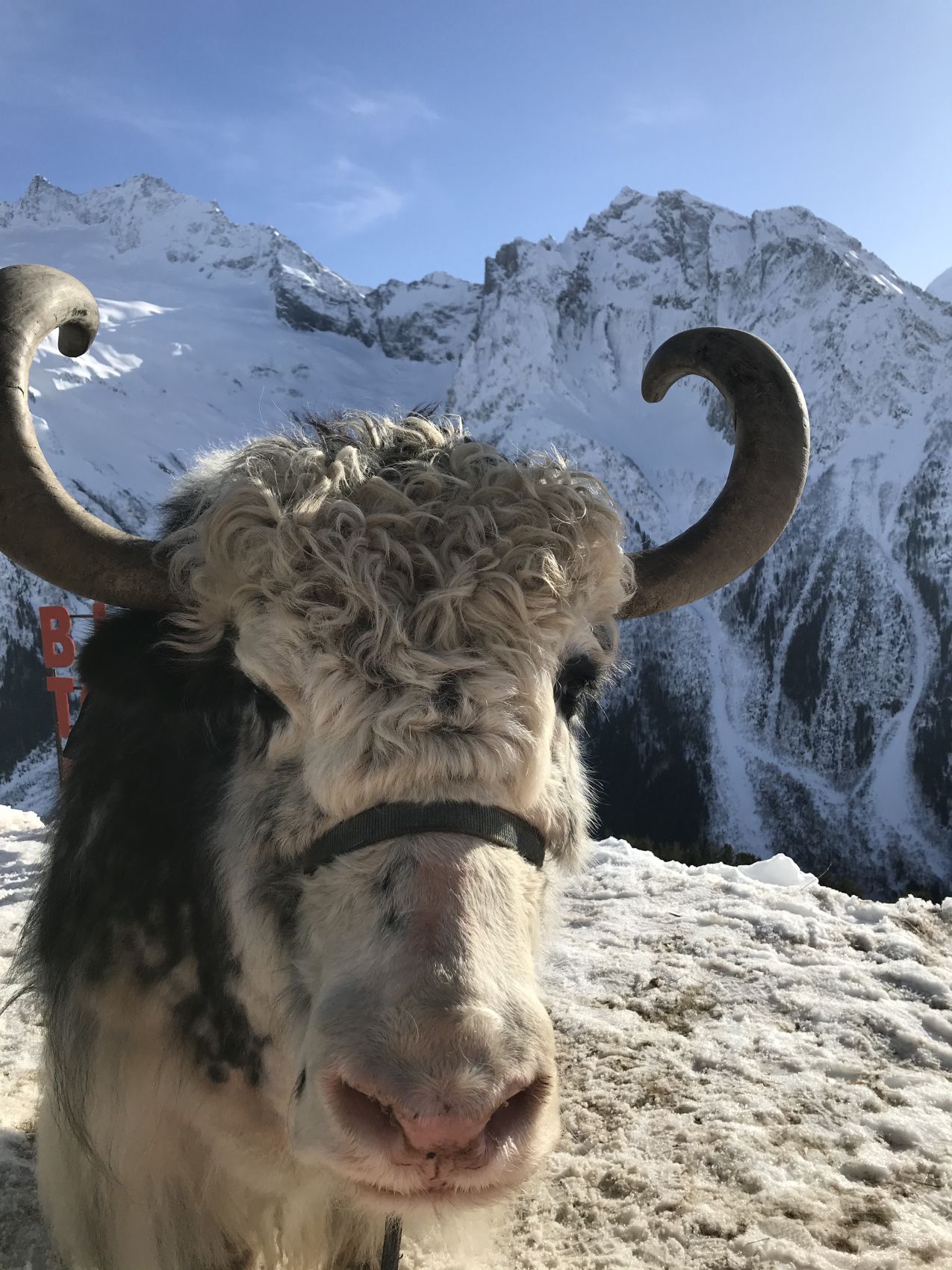 Архыз + Домбай - горнолыжный микс (18/53)