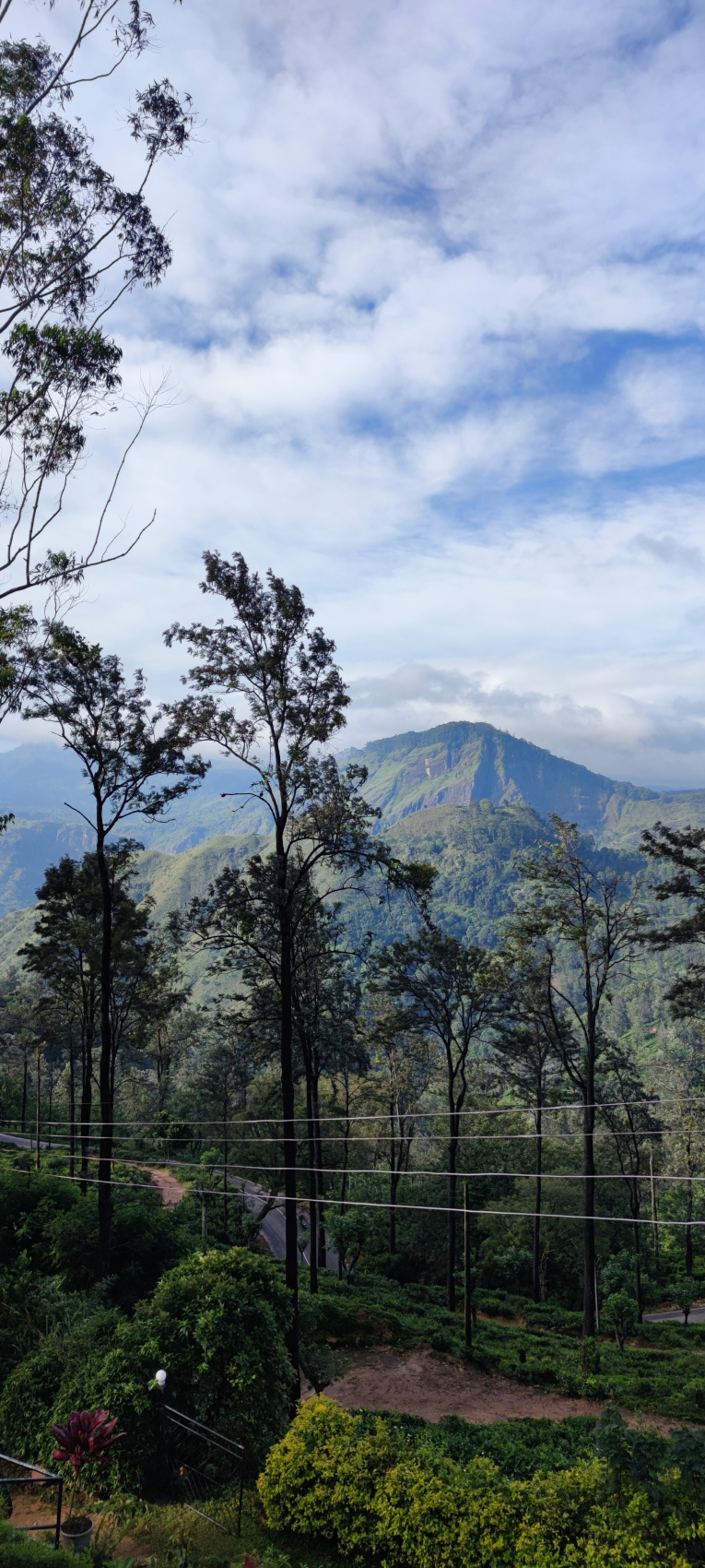 Шри-Ланка. Впервые и сразу вглубь страны. (14/44)