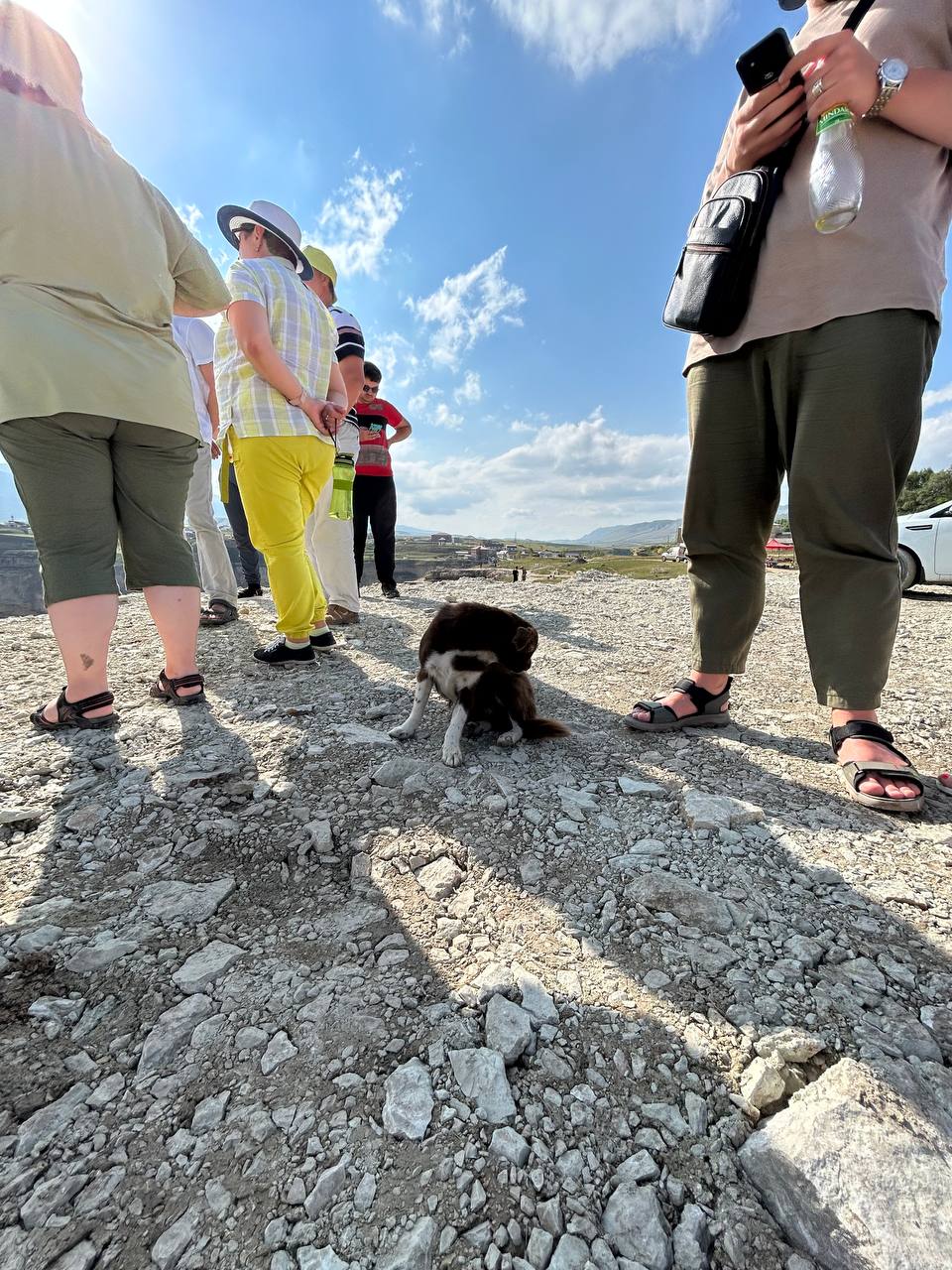 Экспресс-тур по Кавказу. 4 республики и 1001 впечатление! (112/387)