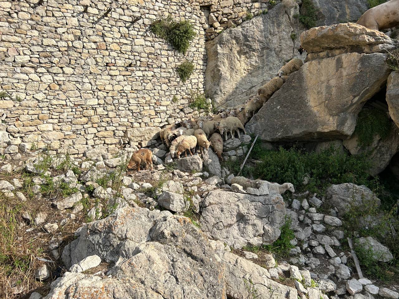 Экспресс-тур по Кавказу. 4 республики и 1001 впечатление! (134/387)