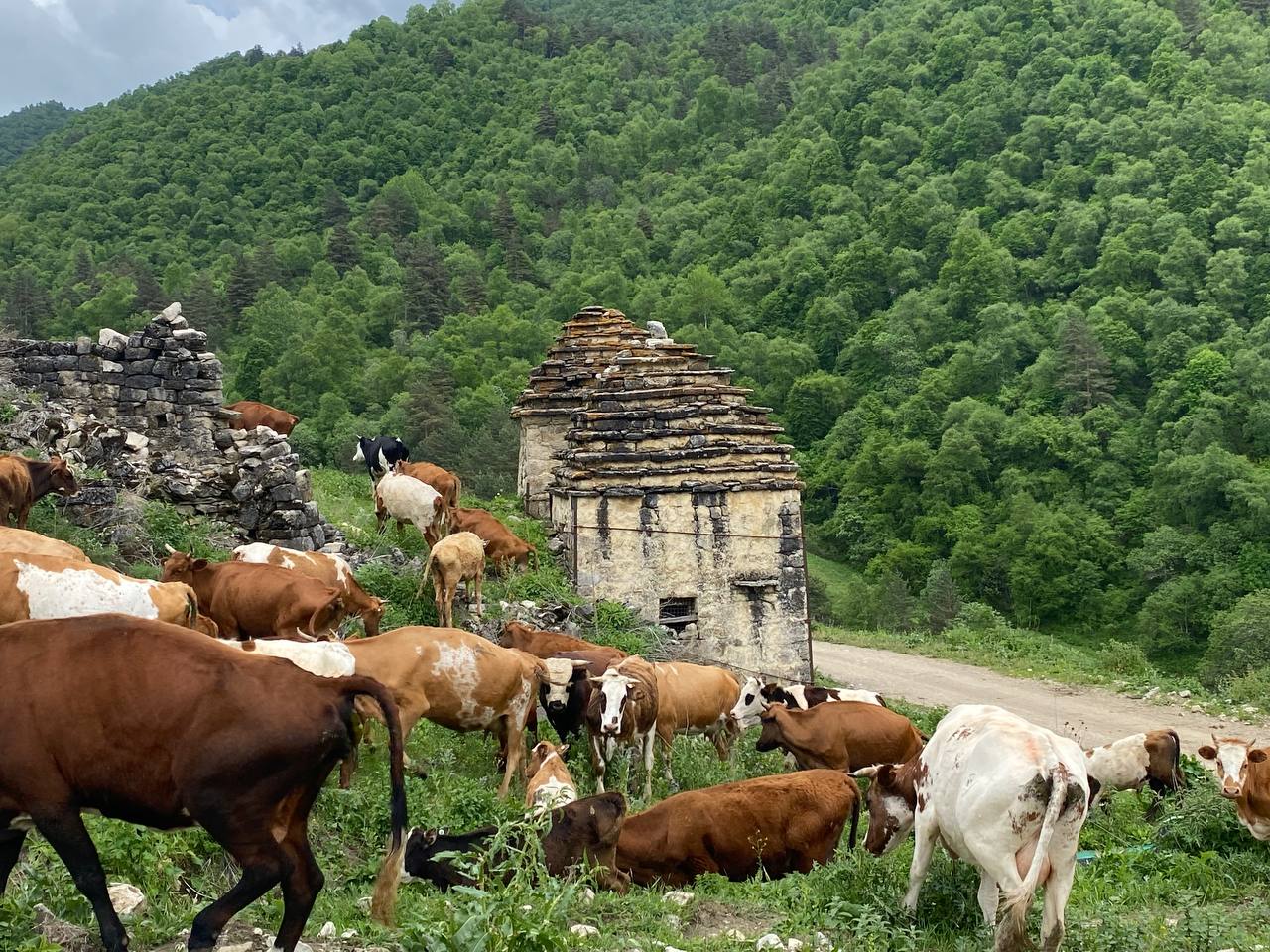 Экспресс-тур по Кавказу. 4 республики и 1001 впечатление! (273/387)