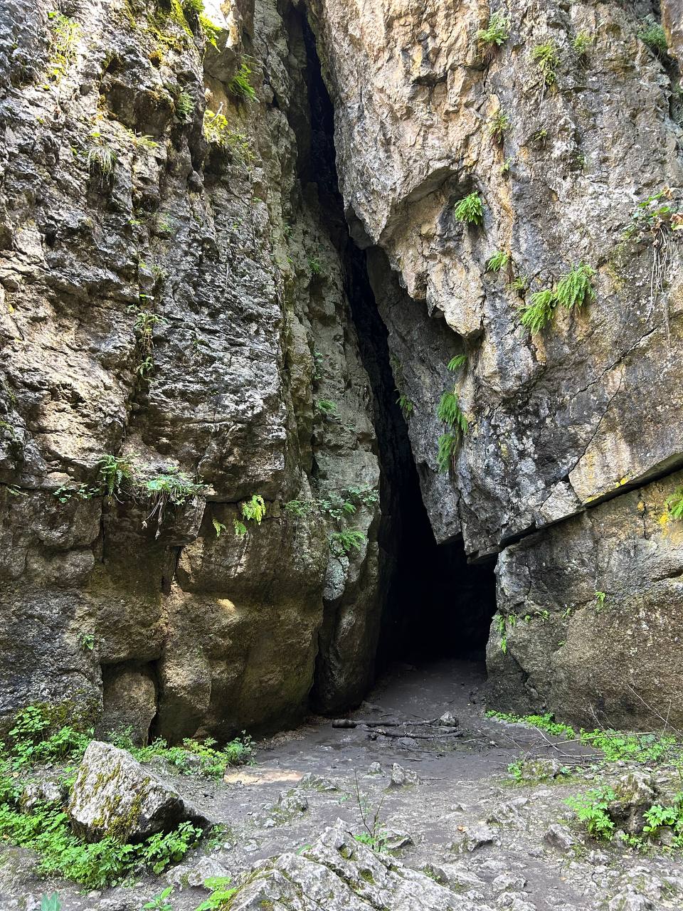 Экспресс-тур по Кавказу. 4 республики и 1001 впечатление! (68/387)