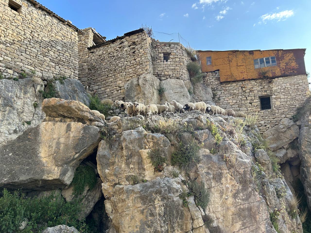 Экспресс-тур по Кавказу. 4 республики и 1001 впечатление! (132/387)