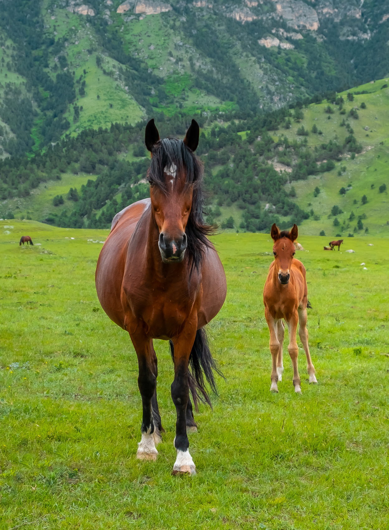 Экспресс-тур по Кавказу. 4 республики и 1001 впечатление! (16/387)