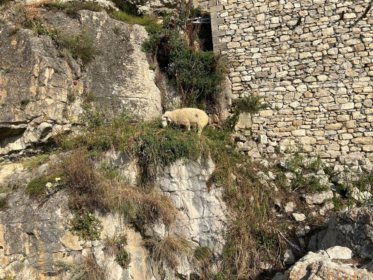 Экспресс-тур по Кавказу. 4 республики и 1001 впечатление! (133/387)