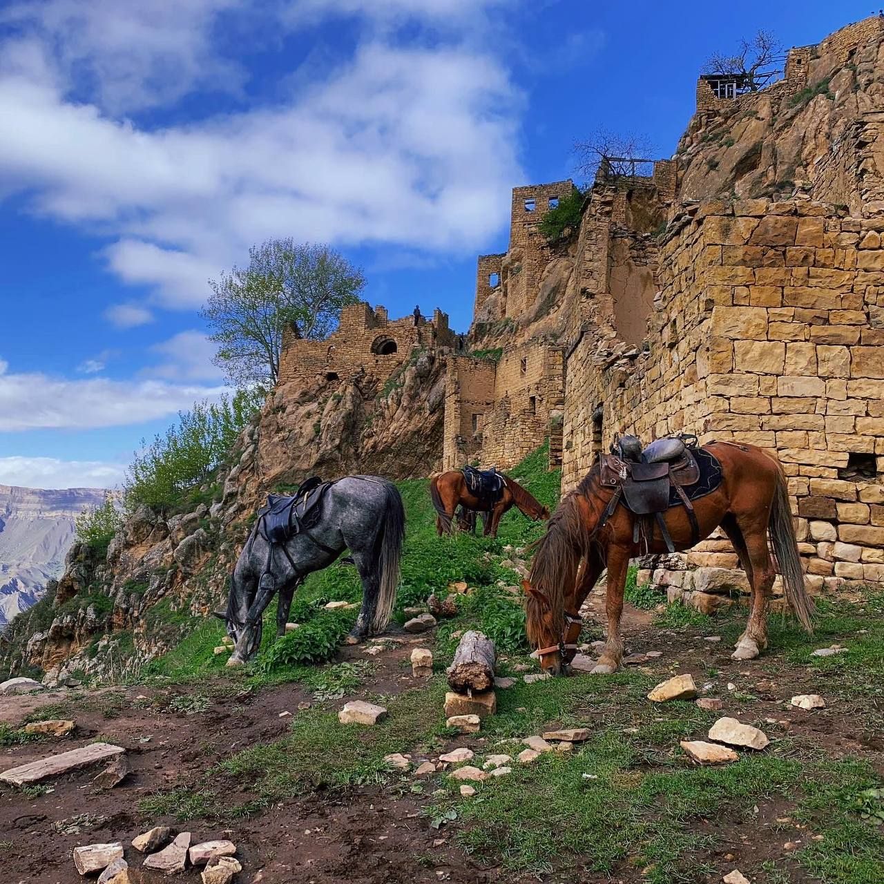 Экспресс-тур по Кавказу. 4 республики и 1001 впечатление! (39/387)