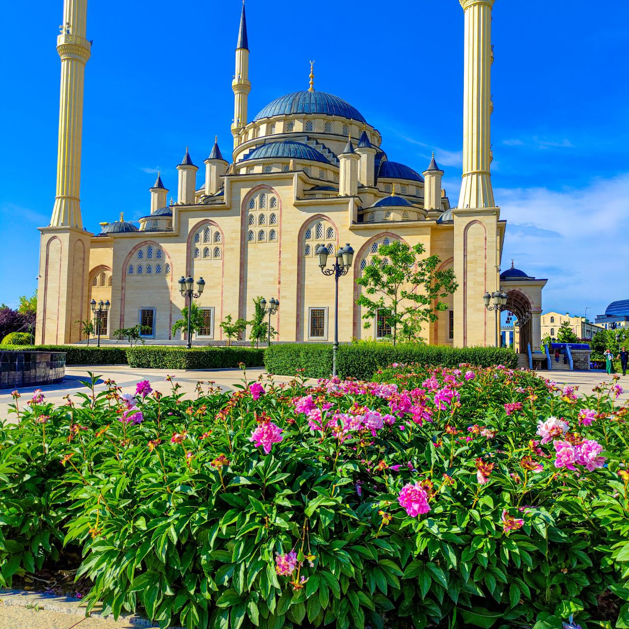 Экспресс-тур по Кавказу. 4 республики и 1001 впечатление! (35/387)