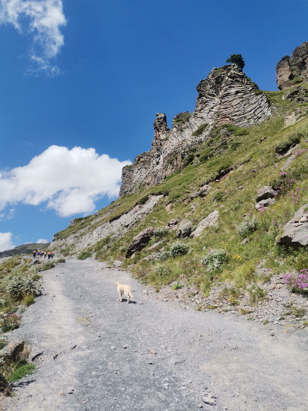 Полная перезагрузка. Твой Эльбрус. 5 дней не тяжелого трекинга (мини-группа) (26/99)