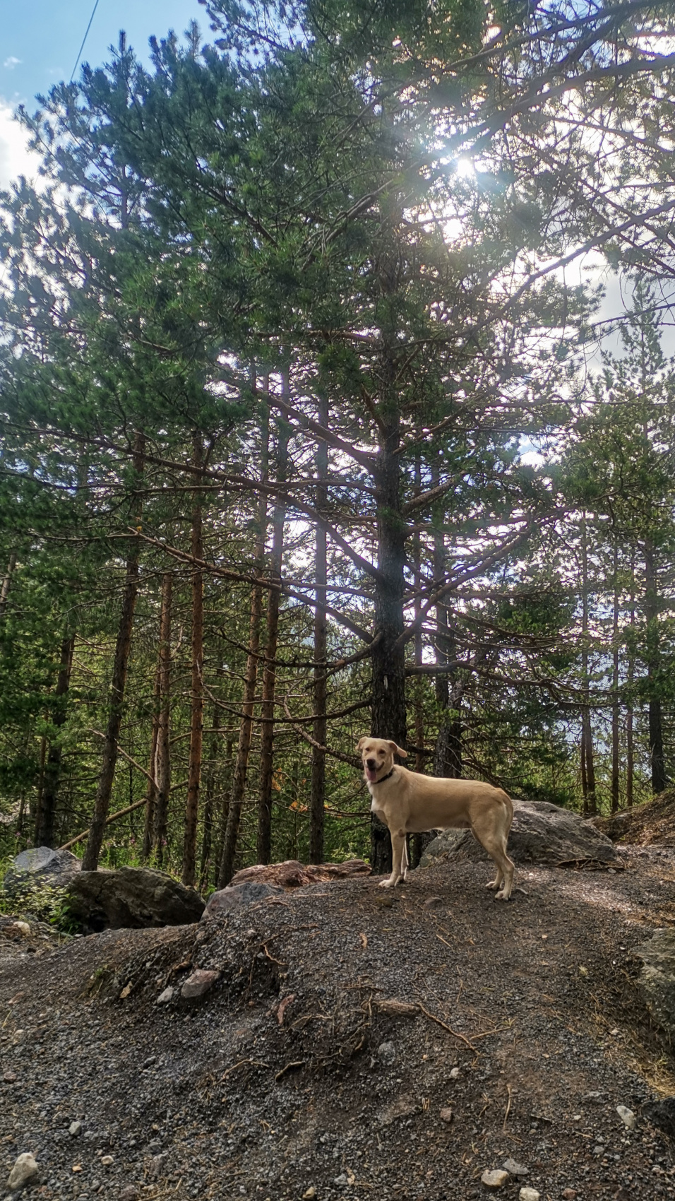 Полная перезагрузка. Твой Эльбрус. 5 дней не тяжелого трекинга (мини-группа) (23/99)