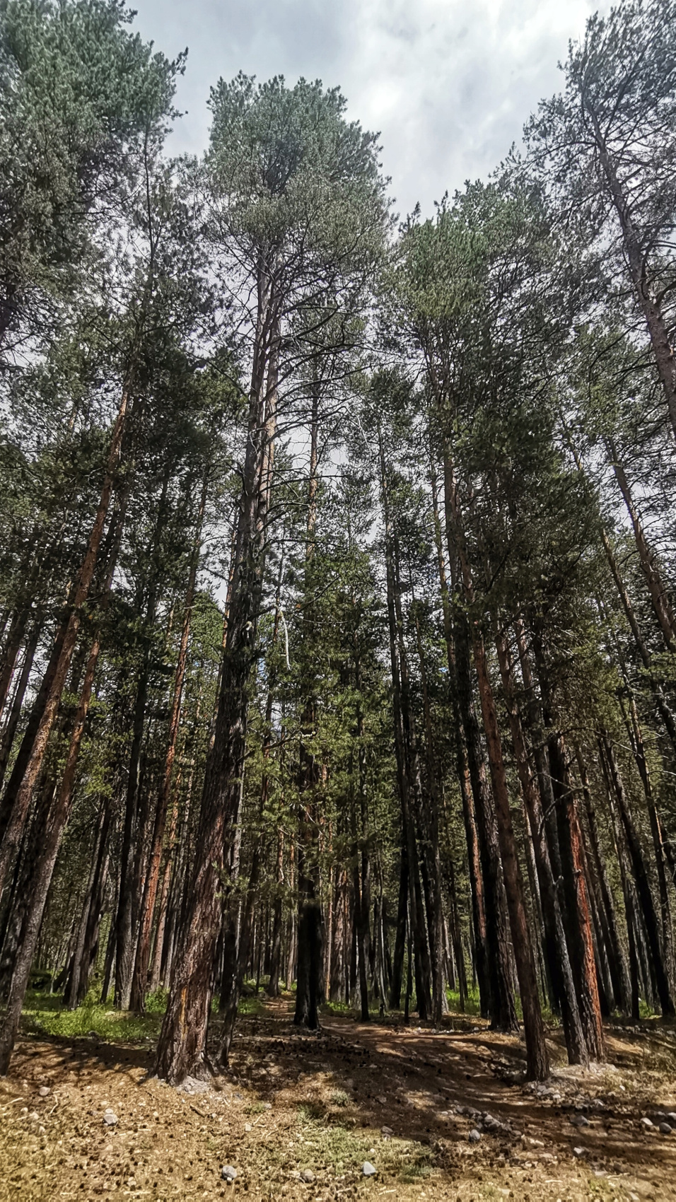 Перезагрузка. Твой Эльбрус. 3 дня не тяжелого трекинга (мини-группа) (70/106)