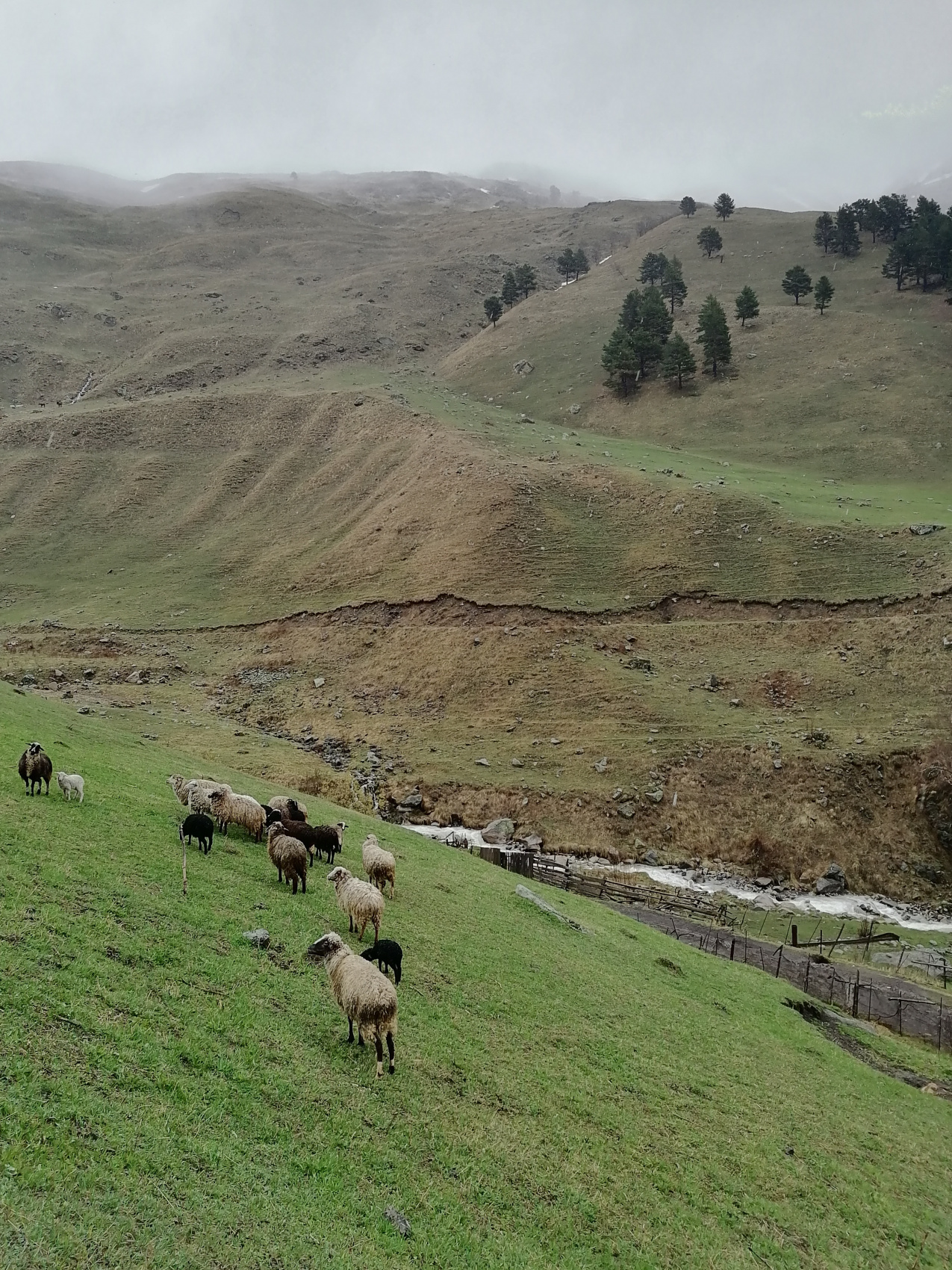 Полная перезагрузка. Твой Эльбрус. 5 дней не тяжелого трекинга (мини-группа) (16/99)