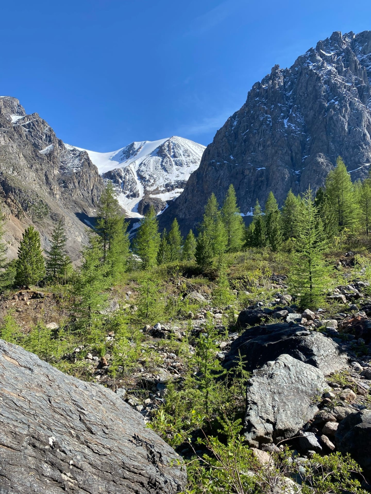 Восхождение на вершину Актру - Баш (10/40)