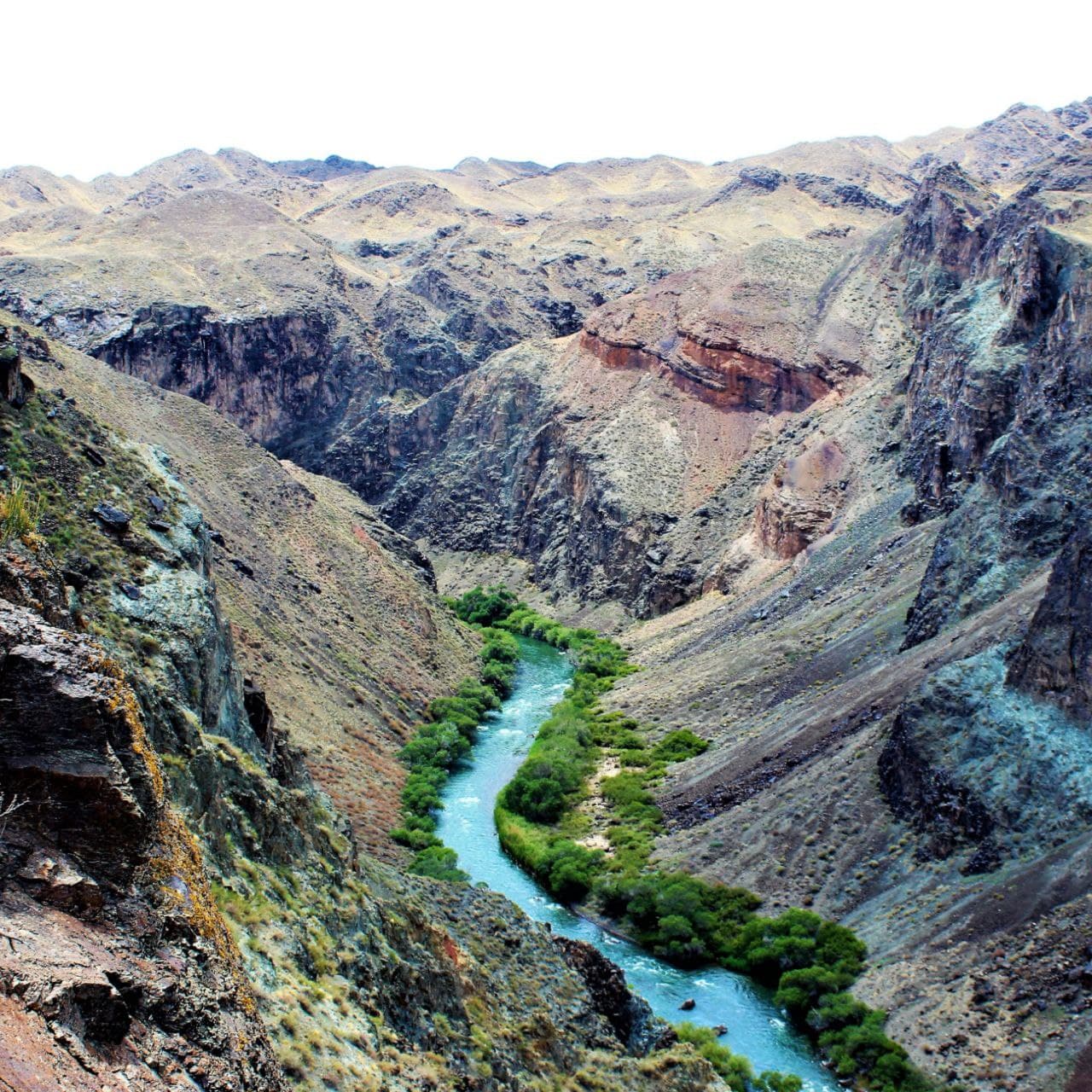 КАЗАХСТАН. ПЕРЕЗАГРУЗКА (44/49)