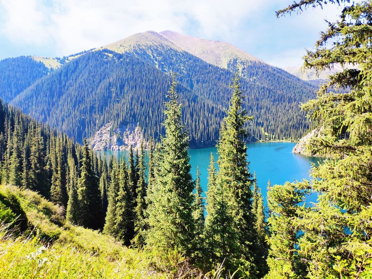 КАЗАХСТАН. ПЕРЕЗАГРУЗКА (28/49)