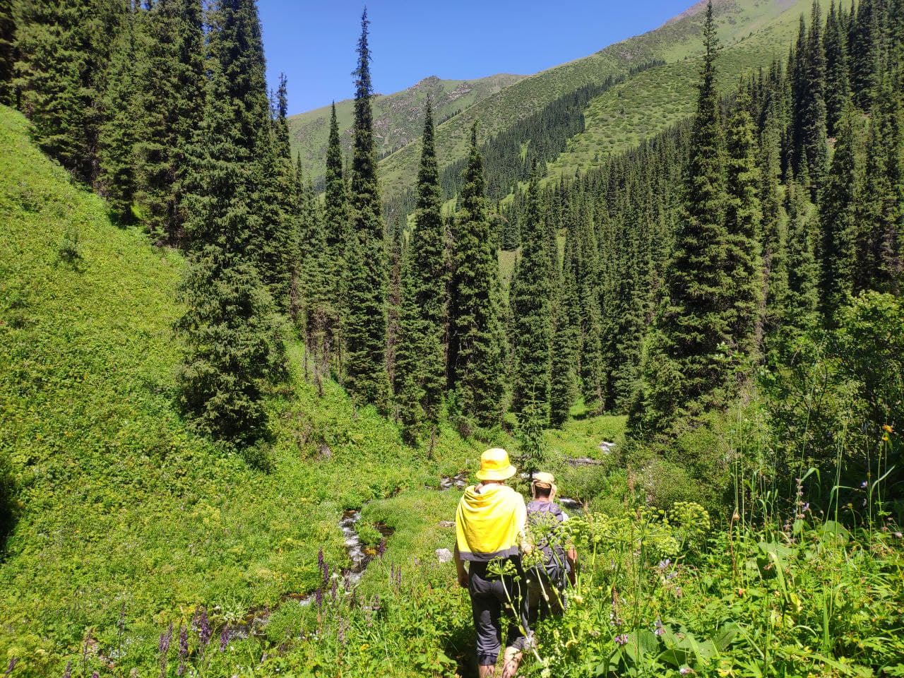 КАЗАХСТАН. ПЕРЕЗАГРУЗКА (40/49)