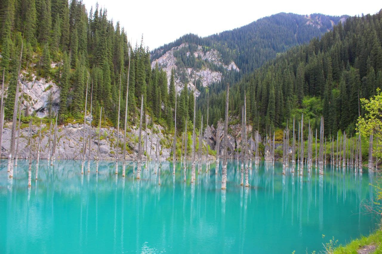 КАЗАХСТАН. ПЕРЕЗАГРУЗКА (31/49)