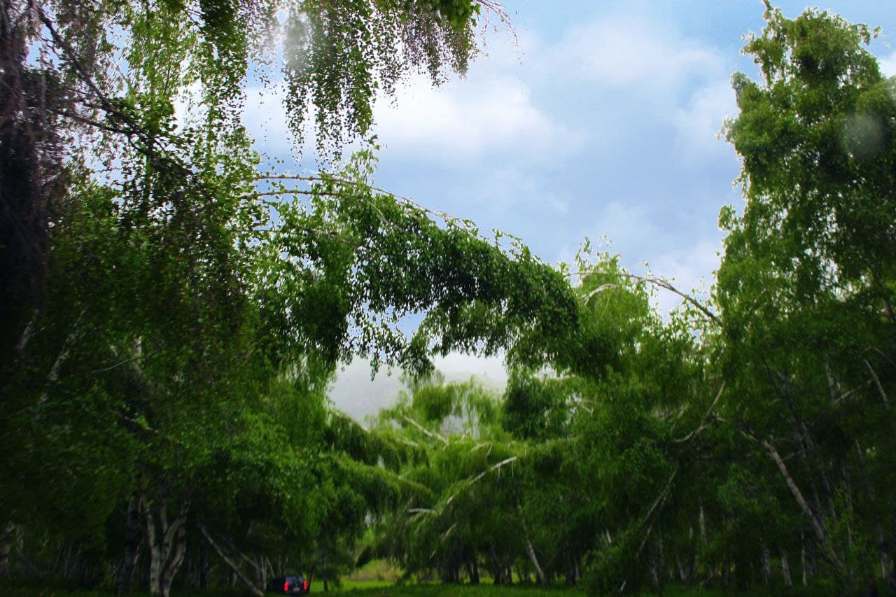 КАЗАХСТАН. ПЕРЕЗАГРУЗКА (15/49)