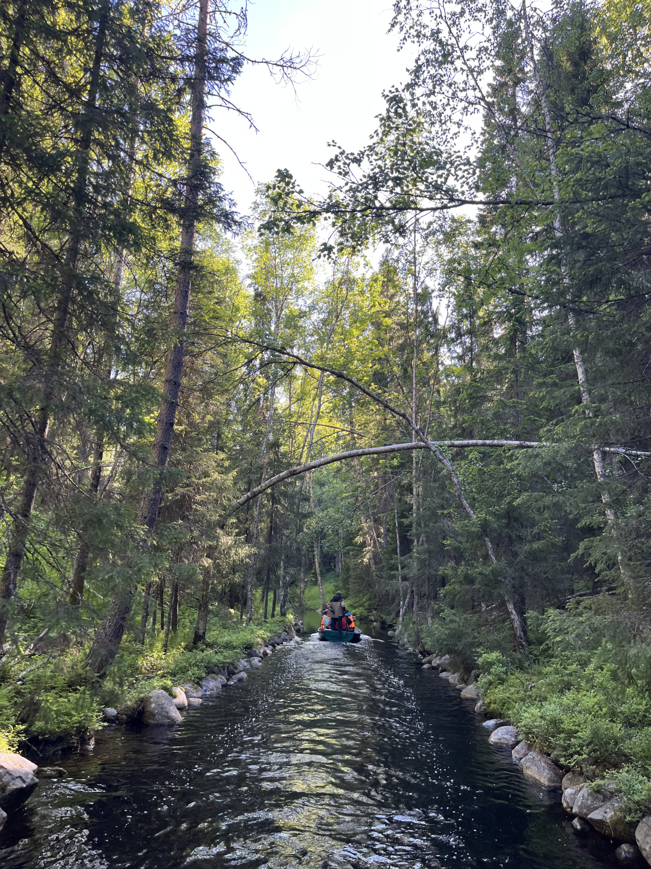 Соловки природа Севера и История края (27/43)