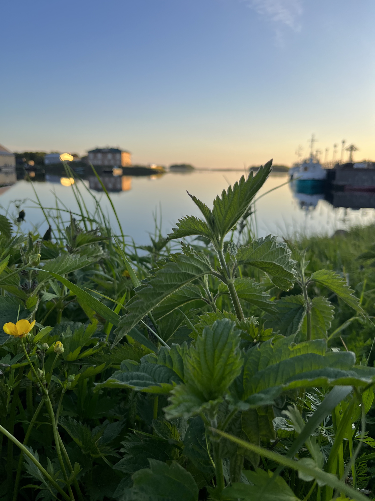 Соловки природа Севера и История края (26/43)