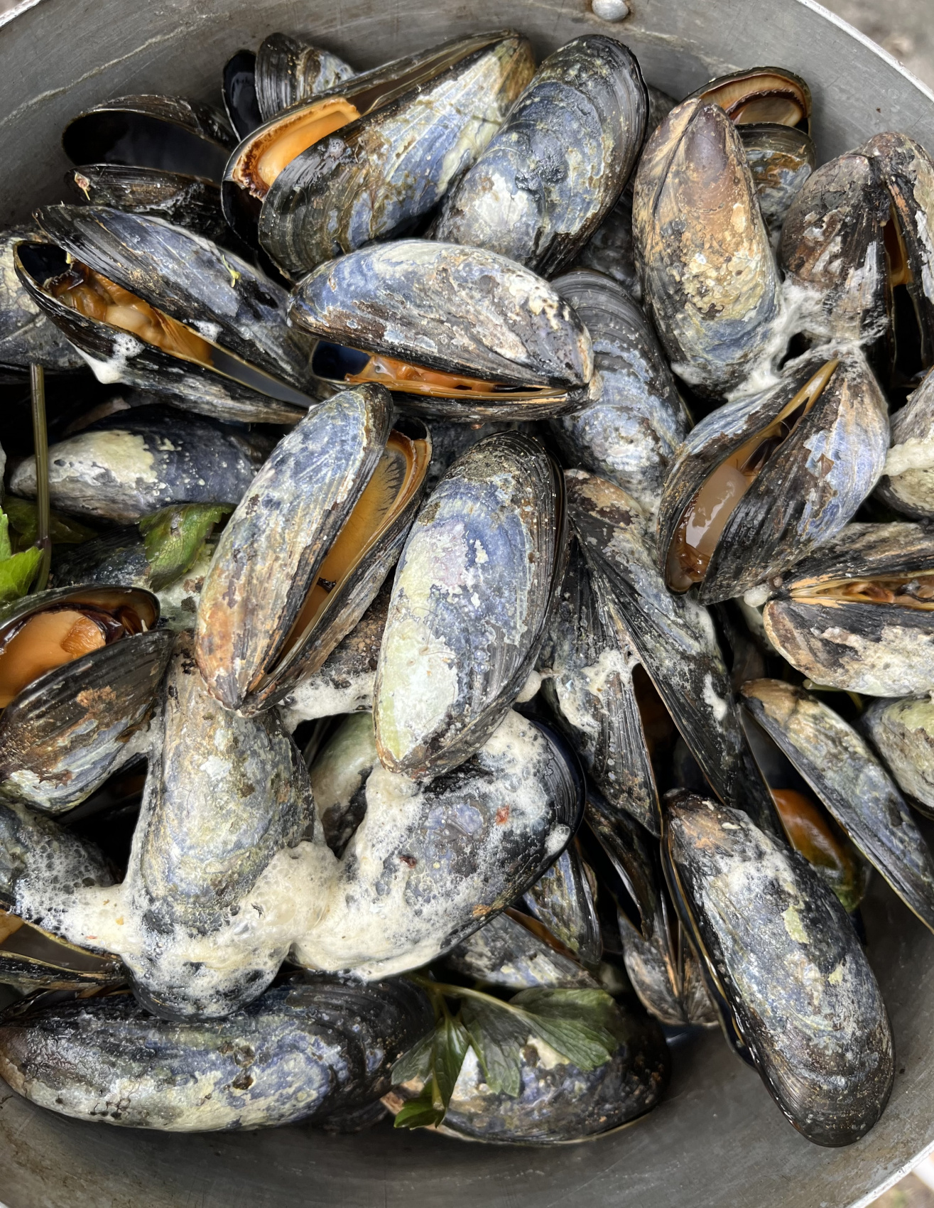 Соловки природа Севера и История края (12/43)