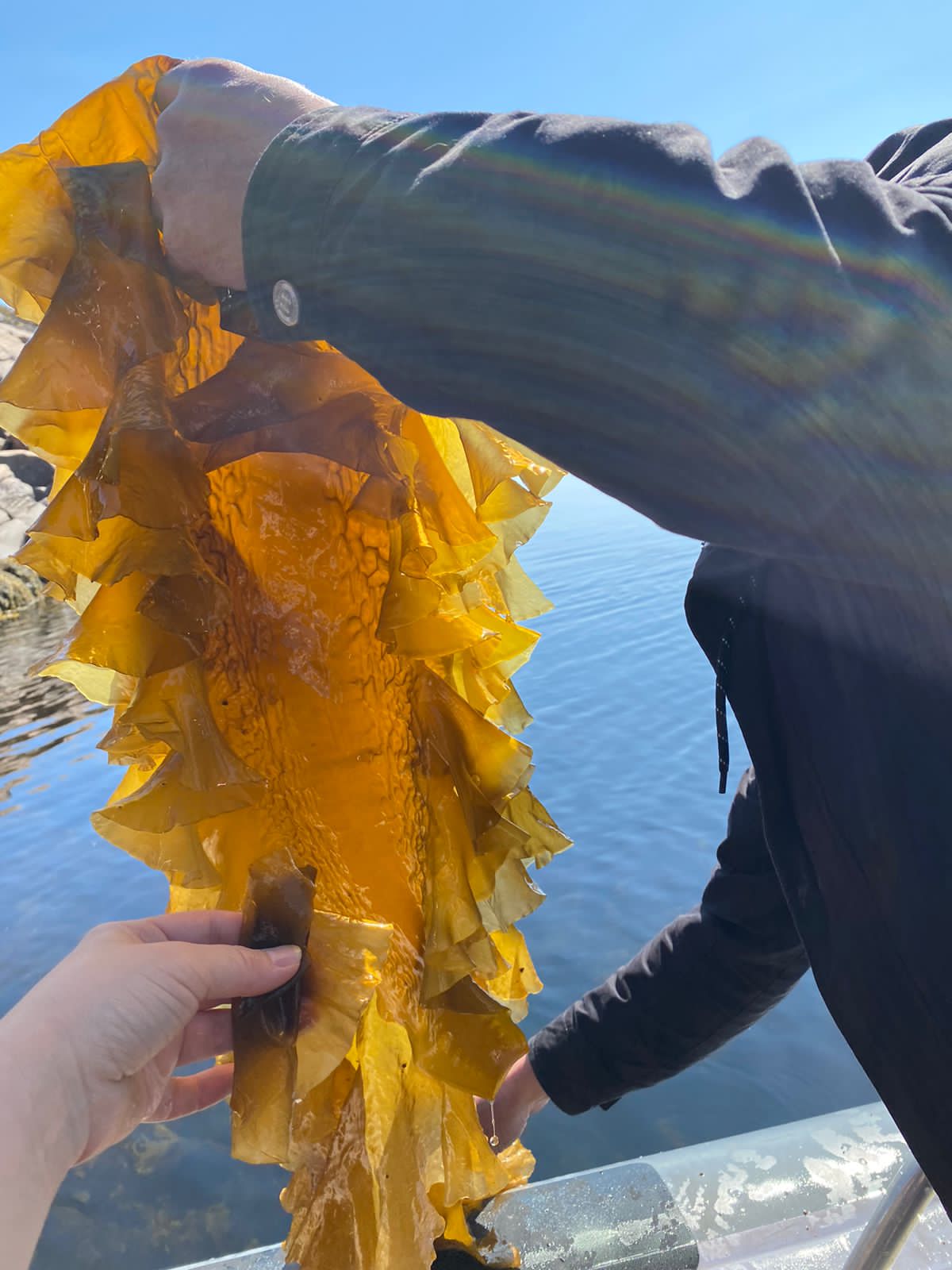 Соловки природа Севера и История края (21/43)