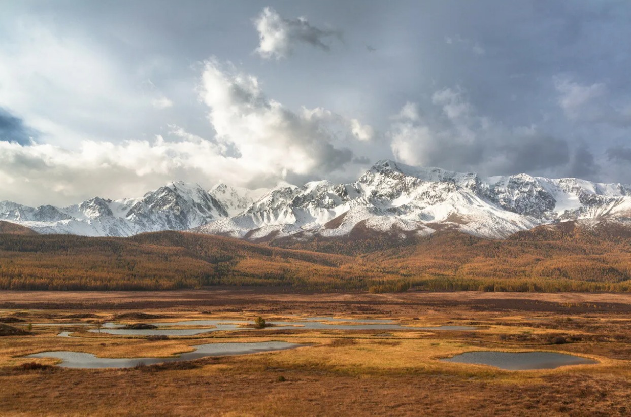 Шелковый Путь Алтая 2026 - Треккинги по восхитительным местам Алтая! (62/69)