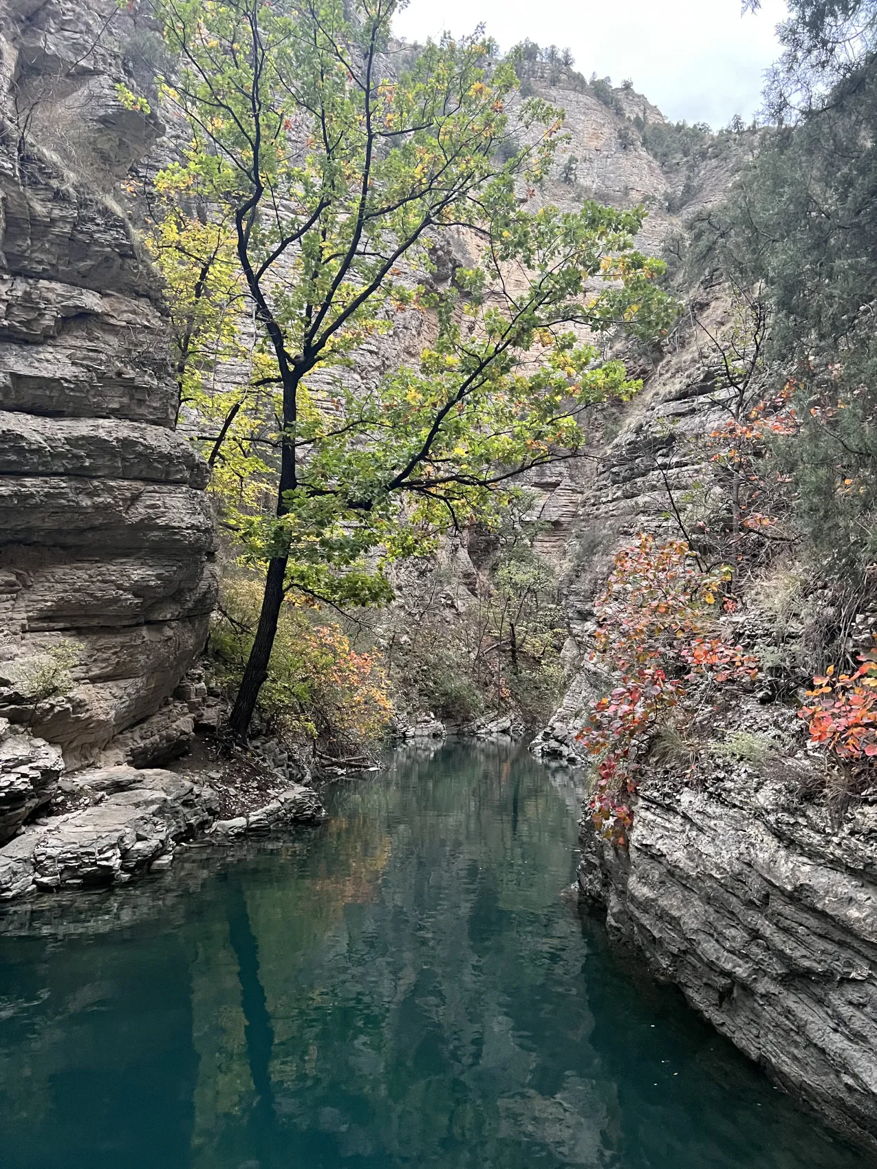 Твой Дагестан (27/86)