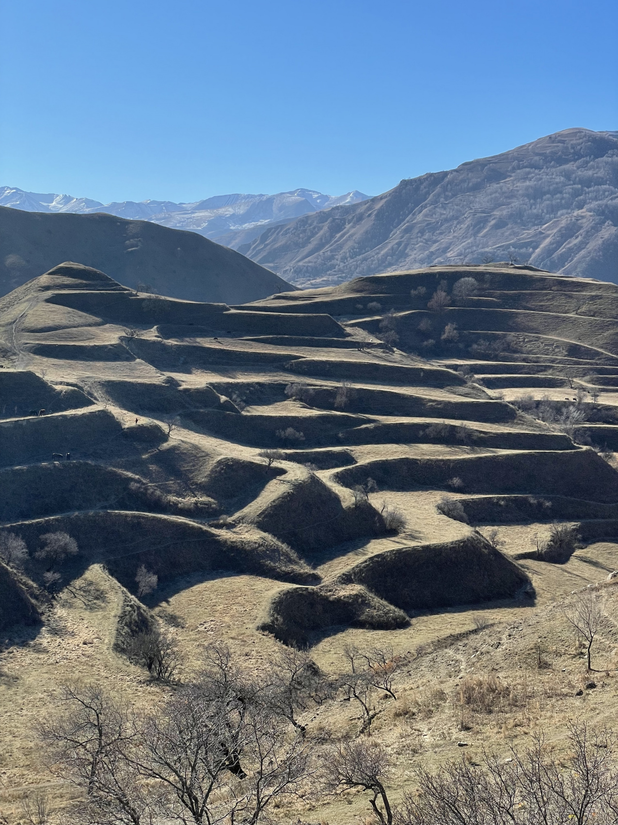 Твой Дагестан (15/86)