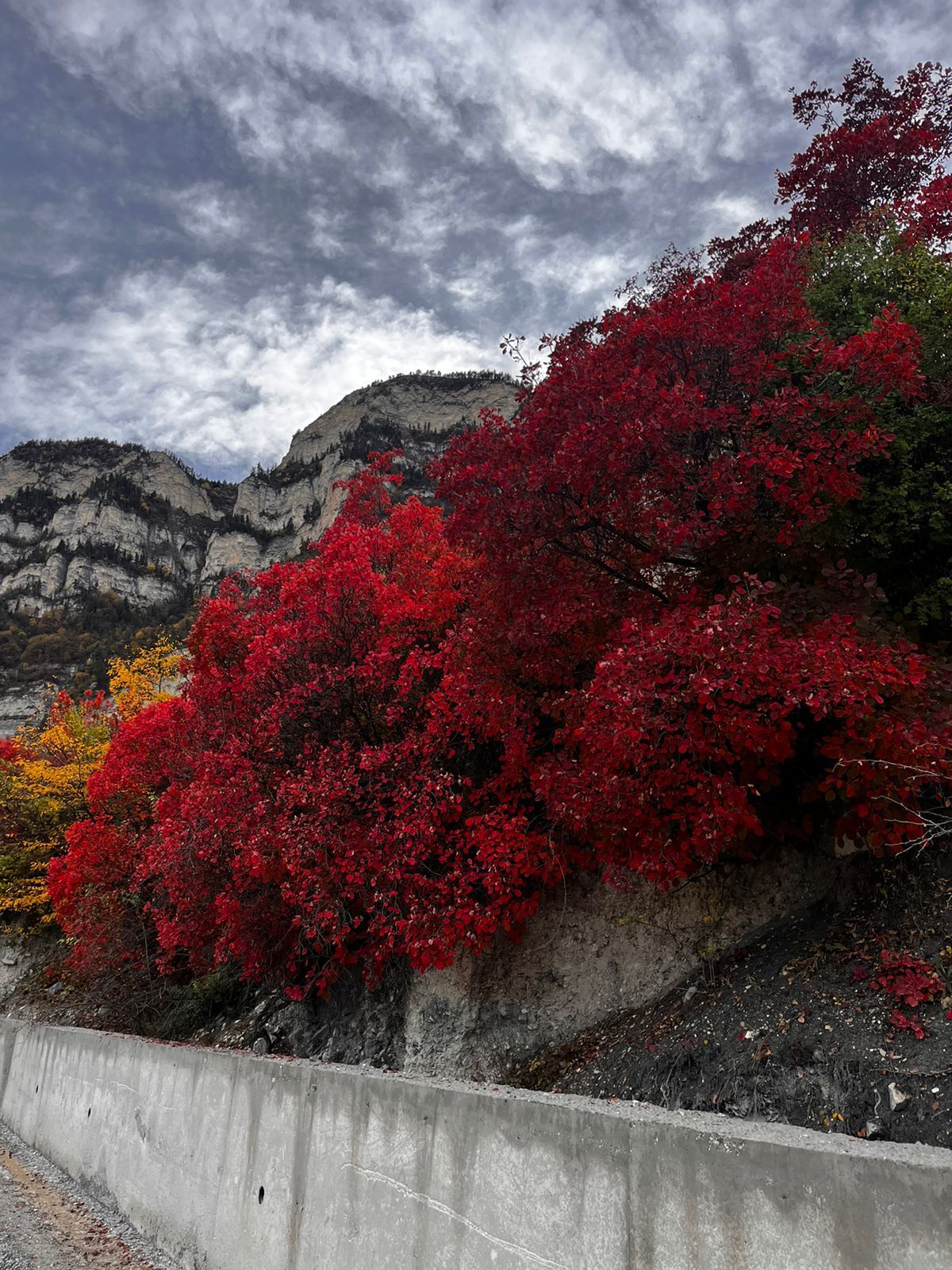 Твой Дагестан (52/86)