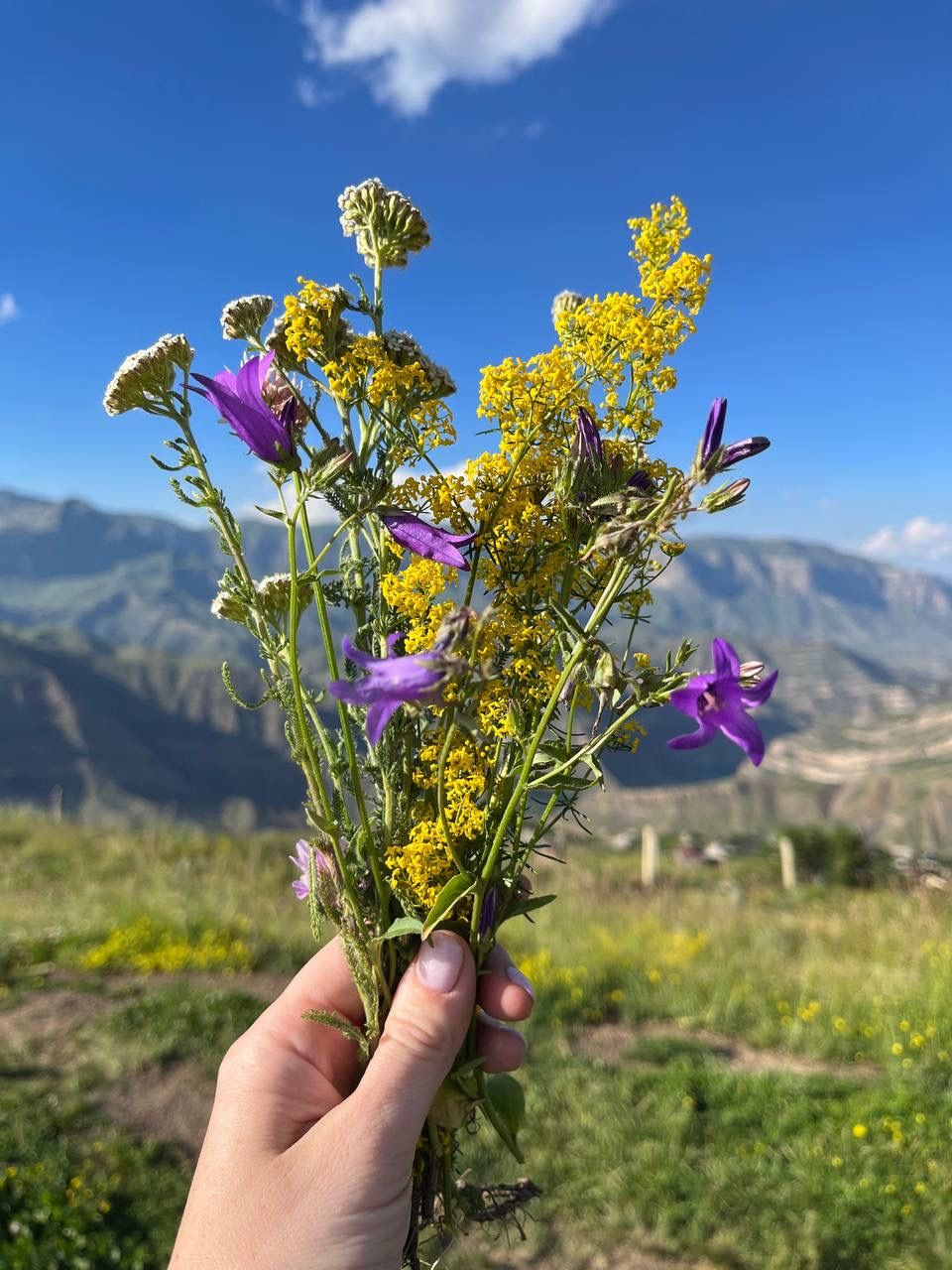 Твой Дагестан (41/86)