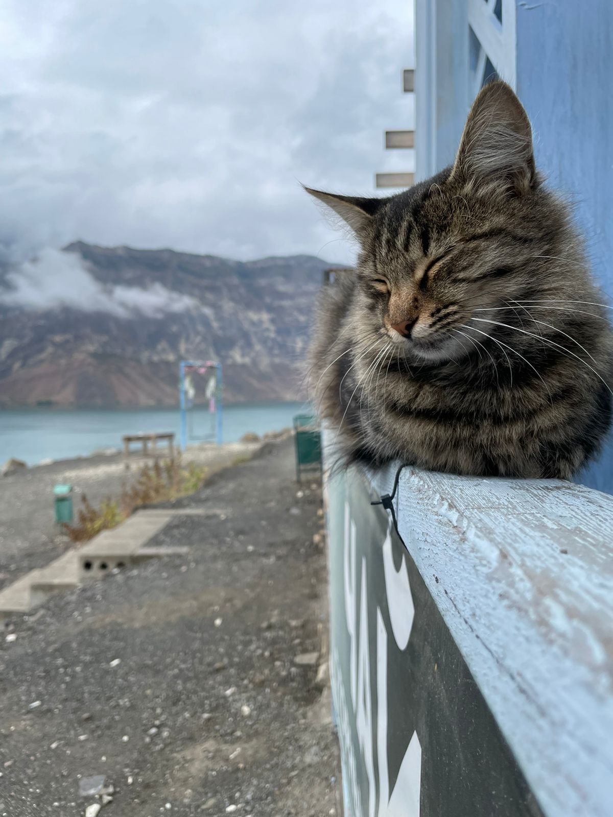 Твой Дагестан (58/86)