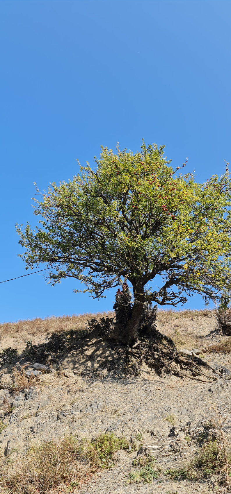 Ешь. Восхищайся. Люби. Путешествие по Кавказу. (142/230)