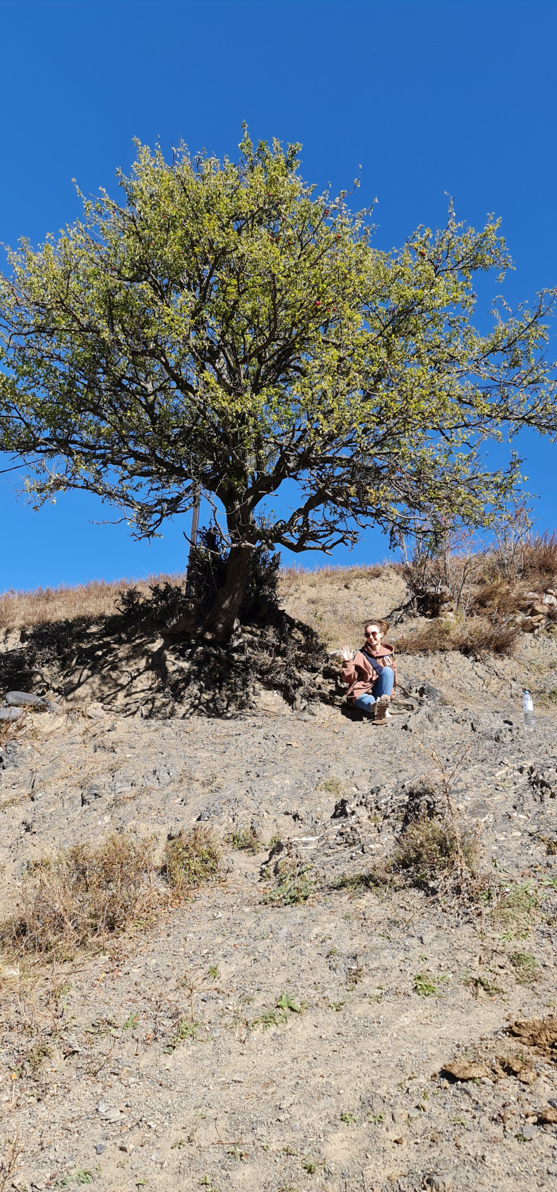 Ешь. Восхищайся. Люби. Путешествие по Кавказу. (86/230)