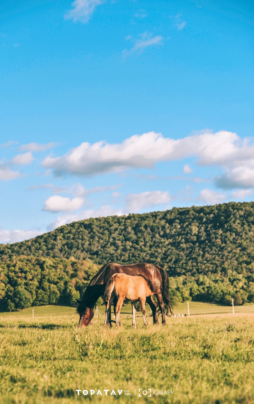 Открой для себя Башкирию! Фирменный тур на 3 дня по живописным местам Башкирии (2/24)