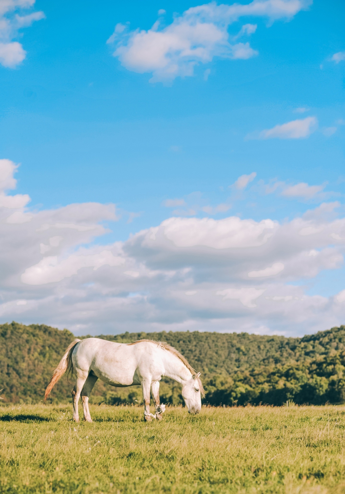 Открой для себя Башкирию! Фирменный тур на 3 дня по живописным местам Башкирии (6/24)