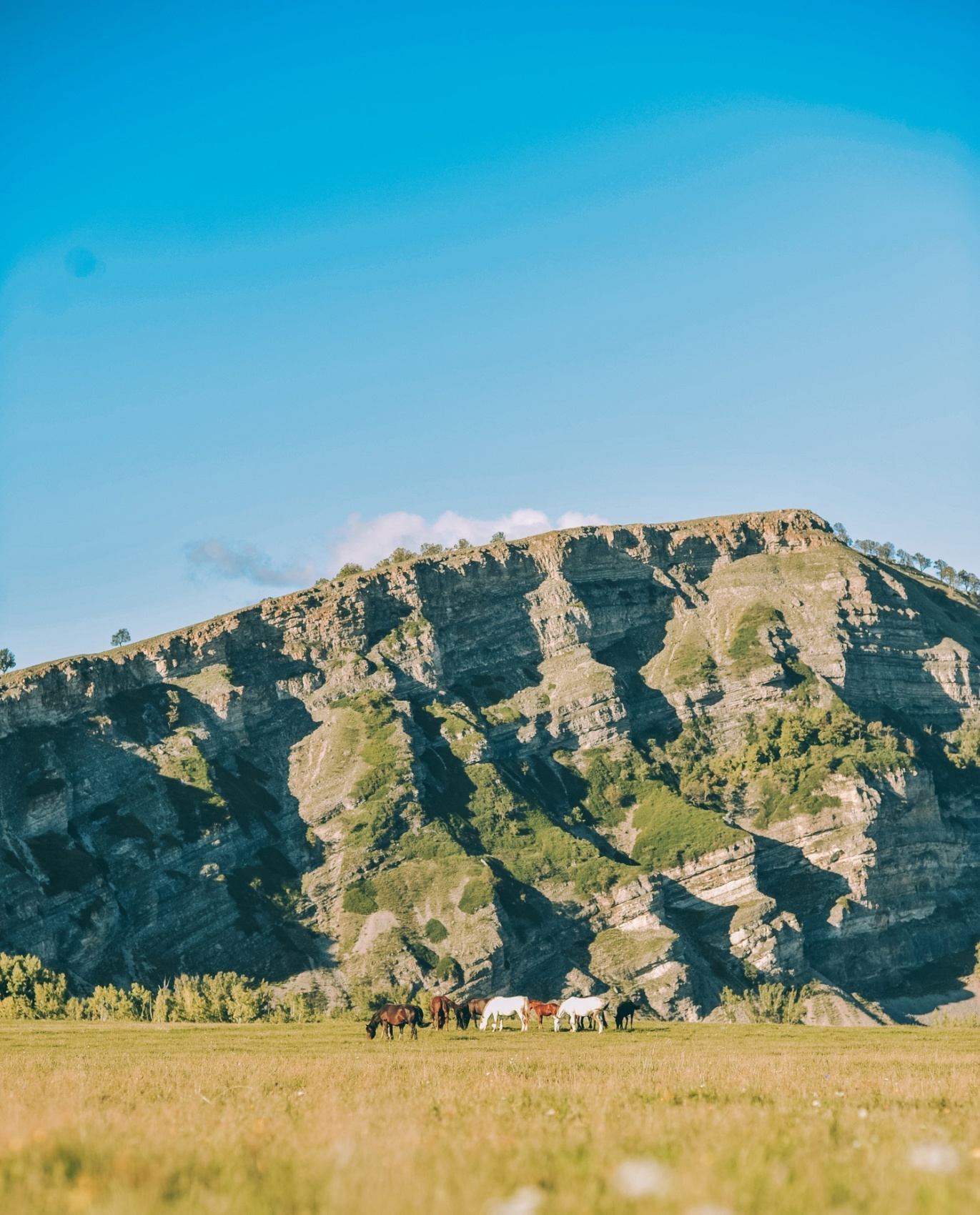 Открой для себя Башкирию! Фирменный тур на 3 дня по живописным местам Башкирии (7/24)