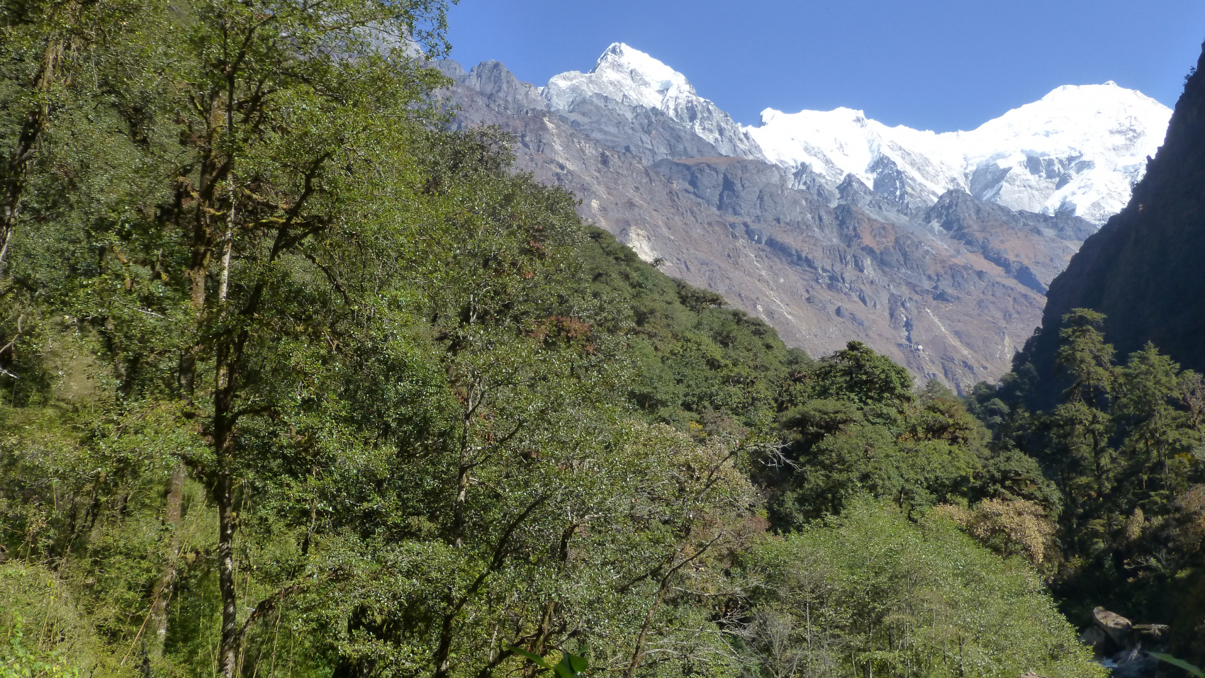 Поход в долину Лангтанг в Непале (9/42)
