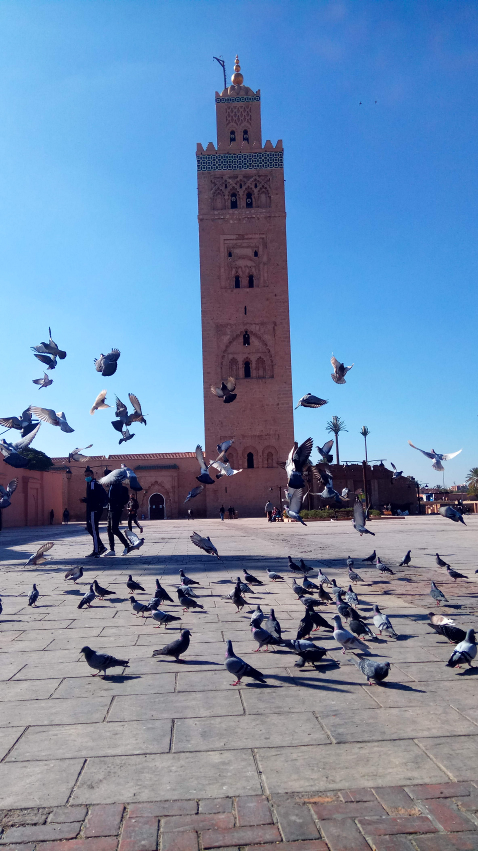 Марокко от океана до небес (6/63)