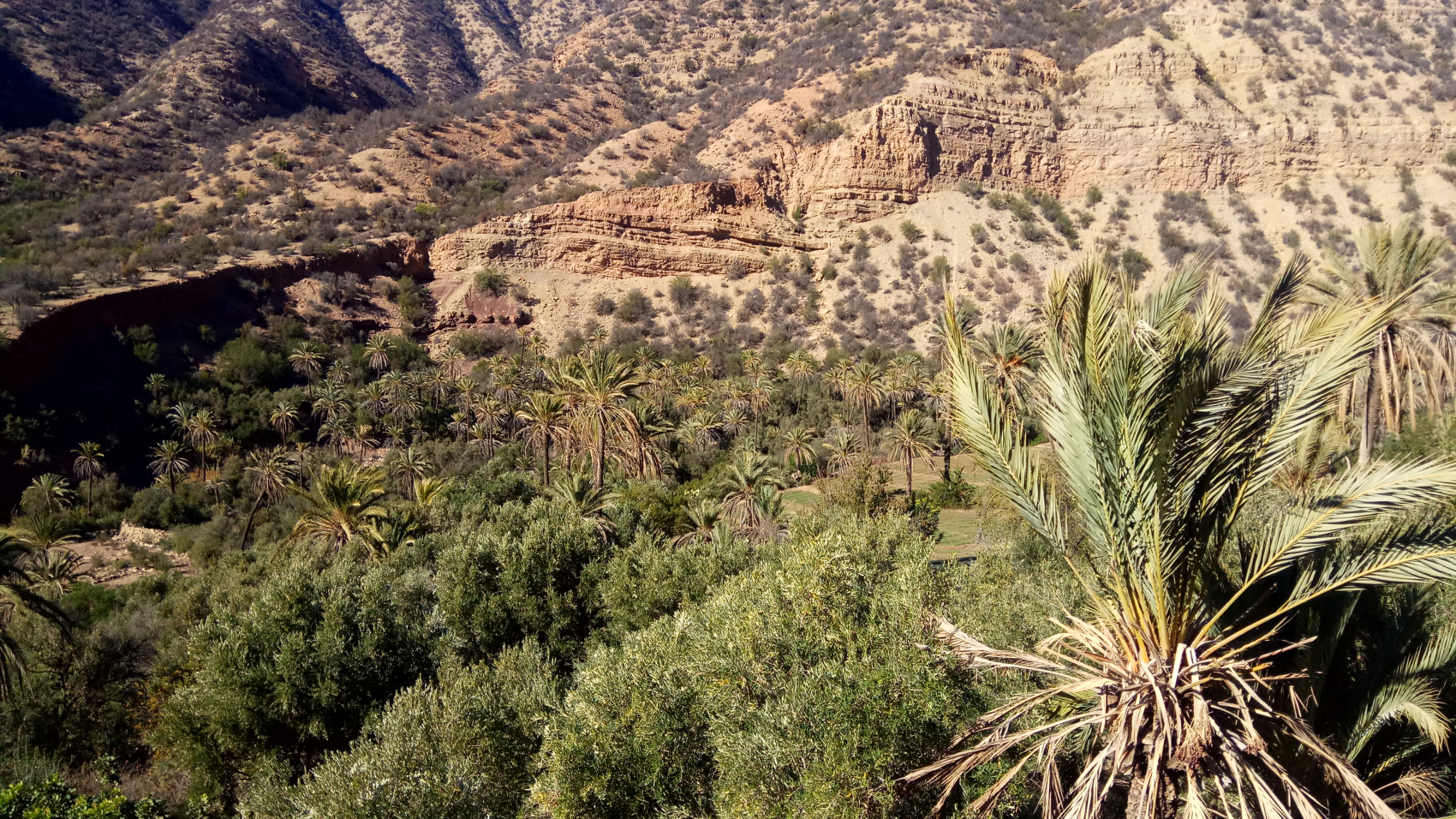Марокко от океана до небес (16/63)