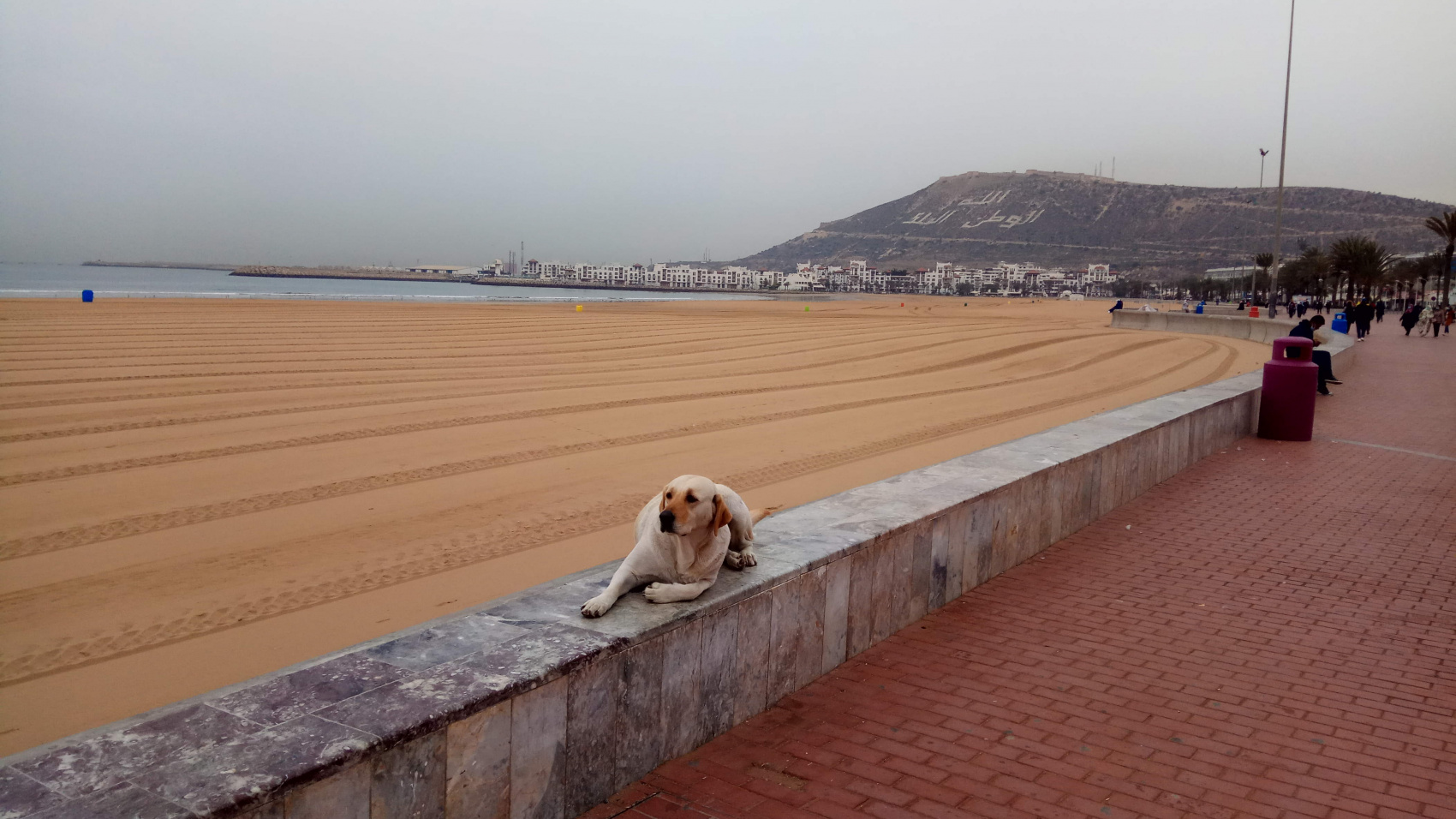 Марокко от океана до небес (14/63)