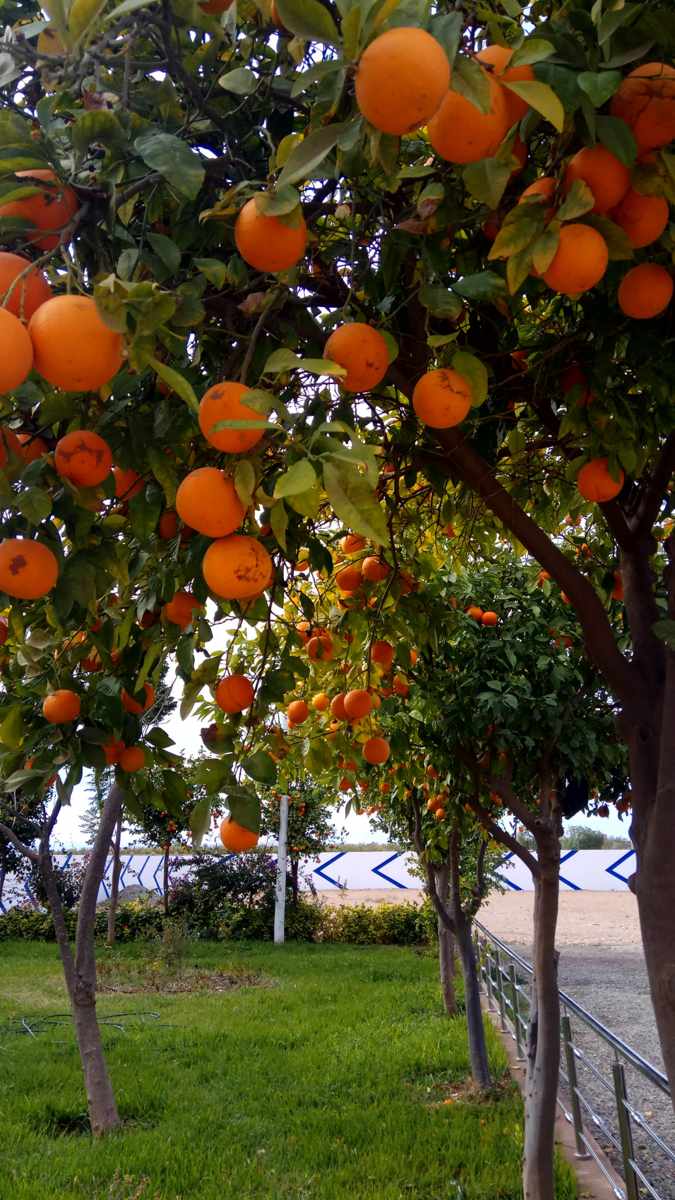 Марокко от океана до небес (22/63)