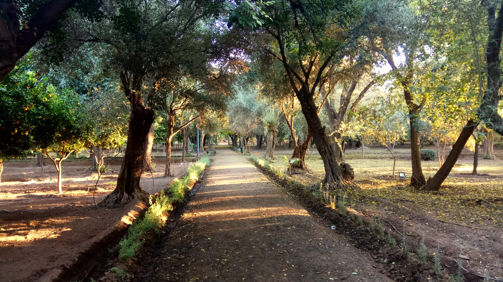 Марокко от океана до небес (9/63)