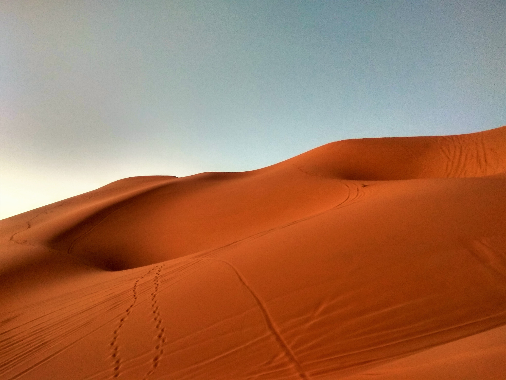 Все краски Магриба (25/53)